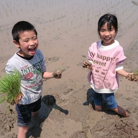 Instagramイメージ