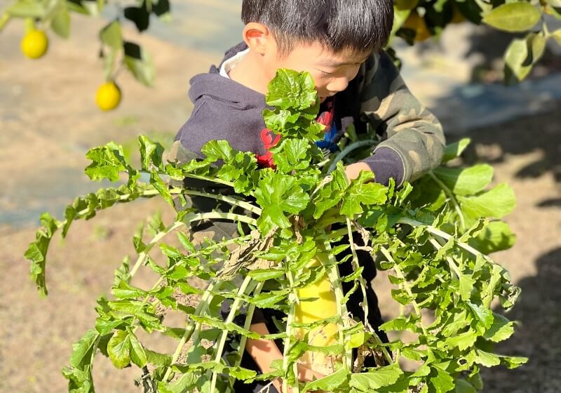 地域とつながる"わくわく体験型"プログラム